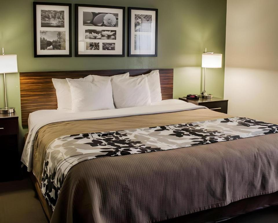 Sleep Inn Geistown Dış mekan fotoğraf