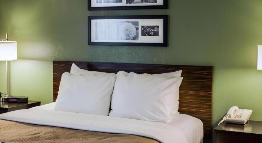 Sleep Inn Geistown Dış mekan fotoğraf